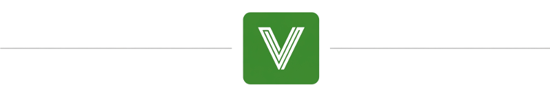 Vidotto Servizi srl